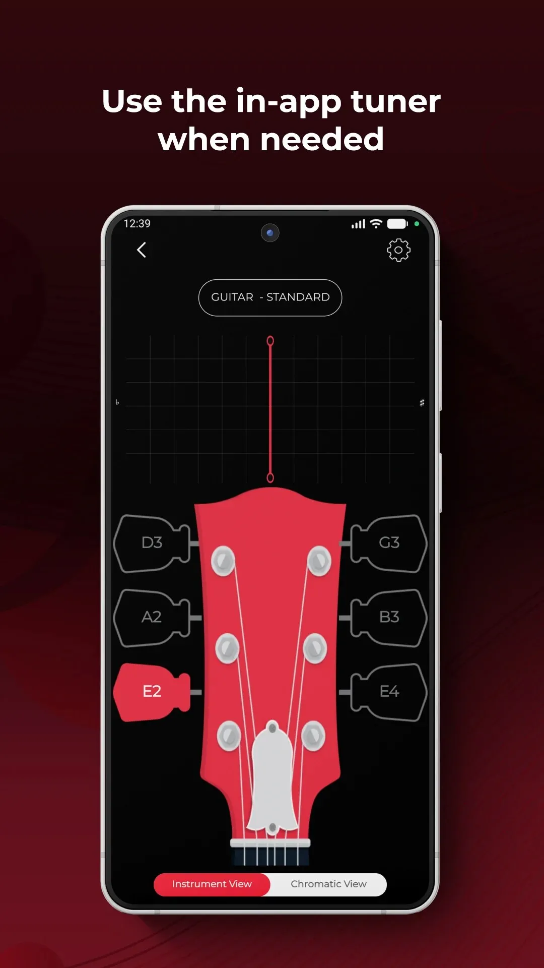 Roadie Tuner instrument view
